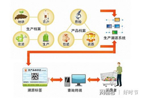 健康新方向 紅軍山藥面，信息管理服務(wù)賦能餐飲新體驗(yàn)